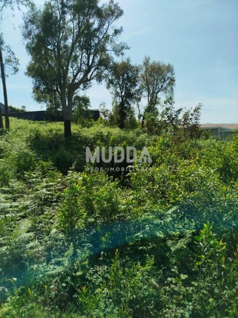 Terreno para Venda em Paços de Brandão
