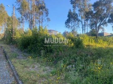 Terreno para Venda em Paços de Brandão