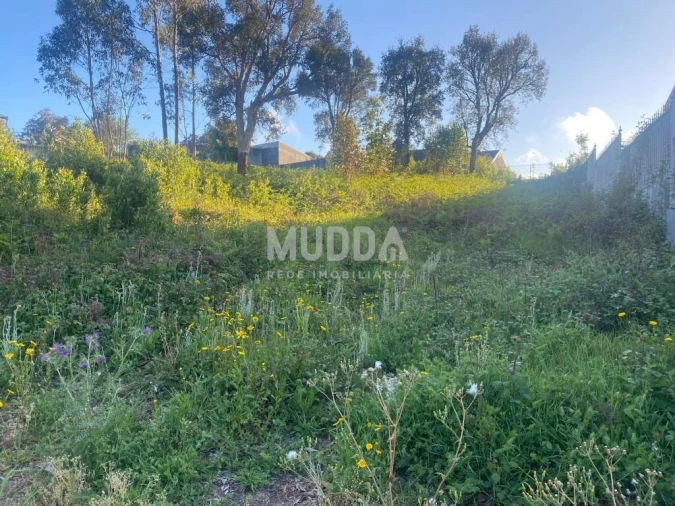 Terreno para Venda em Paços de Brandão Foto 8