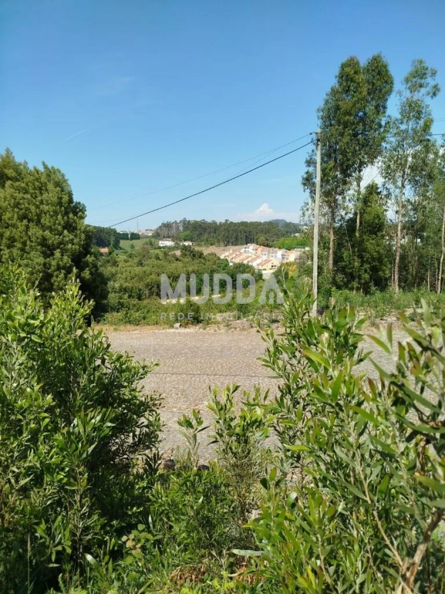 Terreno para Venda em Paços de Brandão Foto 10