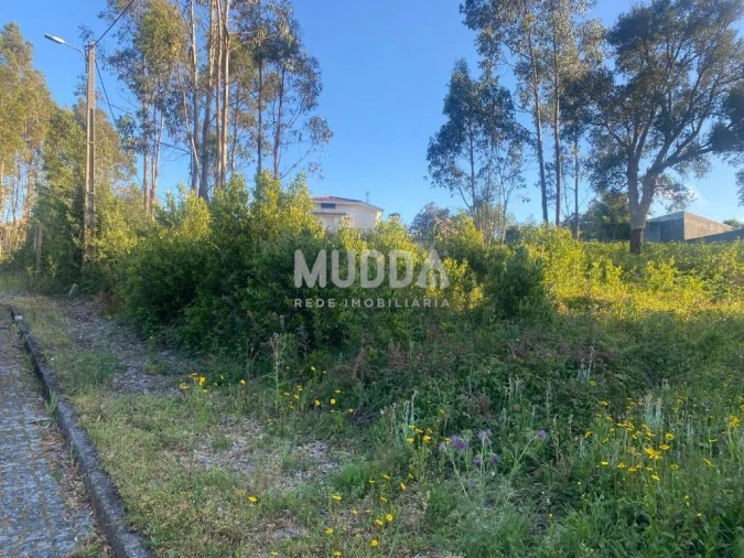 Terreno para Venda em Paços de Brandão Foto 7