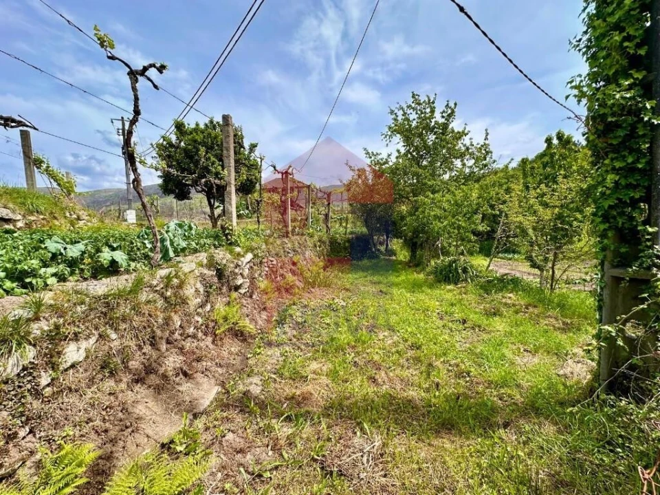 Moradia T2 para Venda em Vila Chã (São João Baptista e Santiago) Foto 16