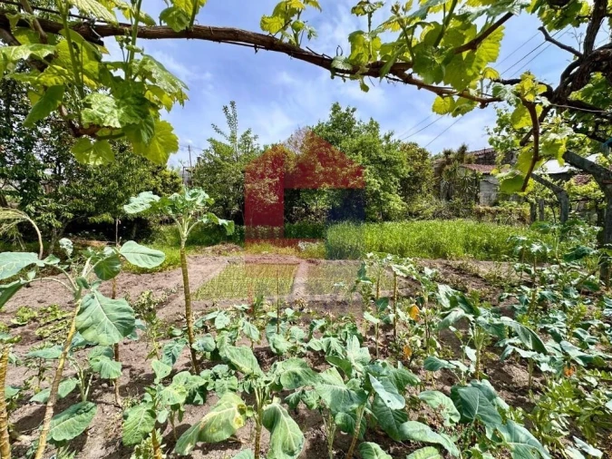 Moradia T2 para Venda em Vila Chã (São João Baptista e Santiago) Foto 17