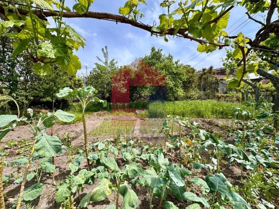 Moradia T2 para Venda em Vila Chã (São João Baptista e Santiago) Foto 17