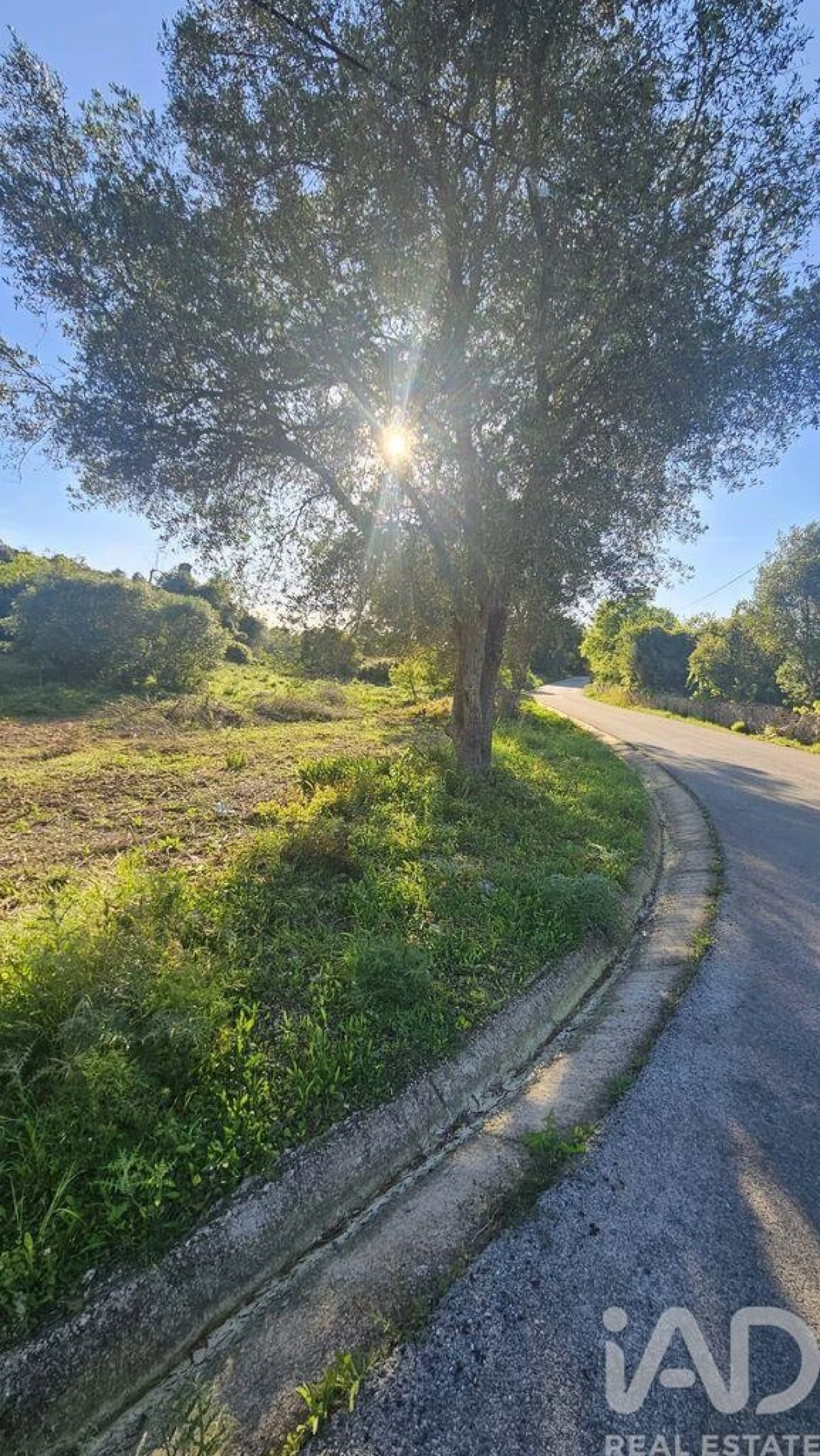 Terreno para Venda em Loule (São Clemente) Foto 2