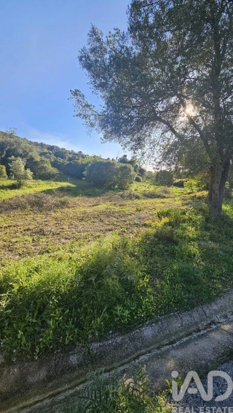 Terreno para Venda em Loule (São Clemente)