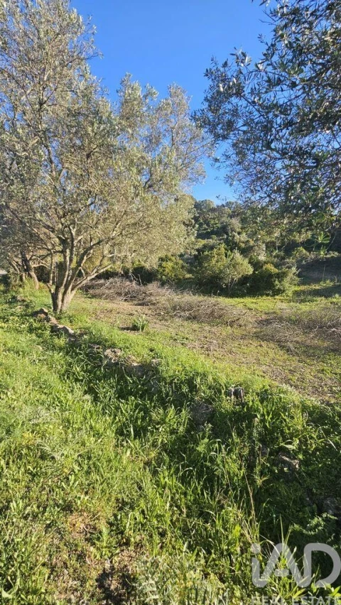 Terreno para Venda em Loule (São Clemente)