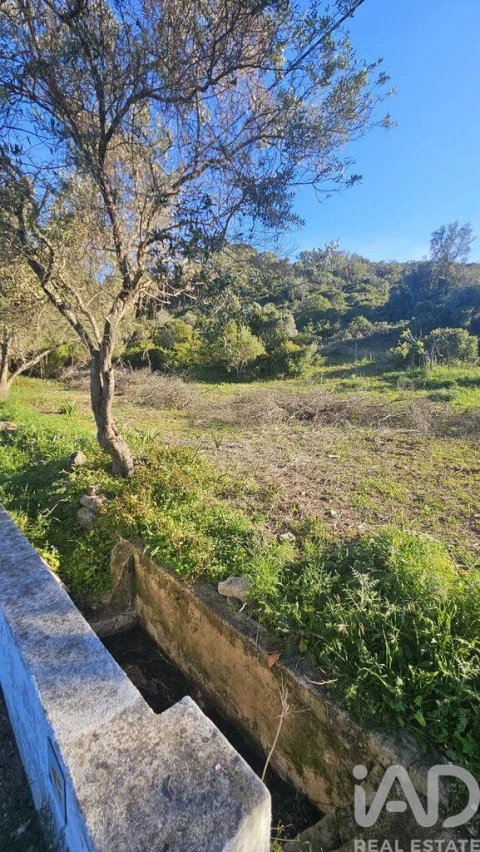 Terreno para Venda em Loule (São Clemente)
