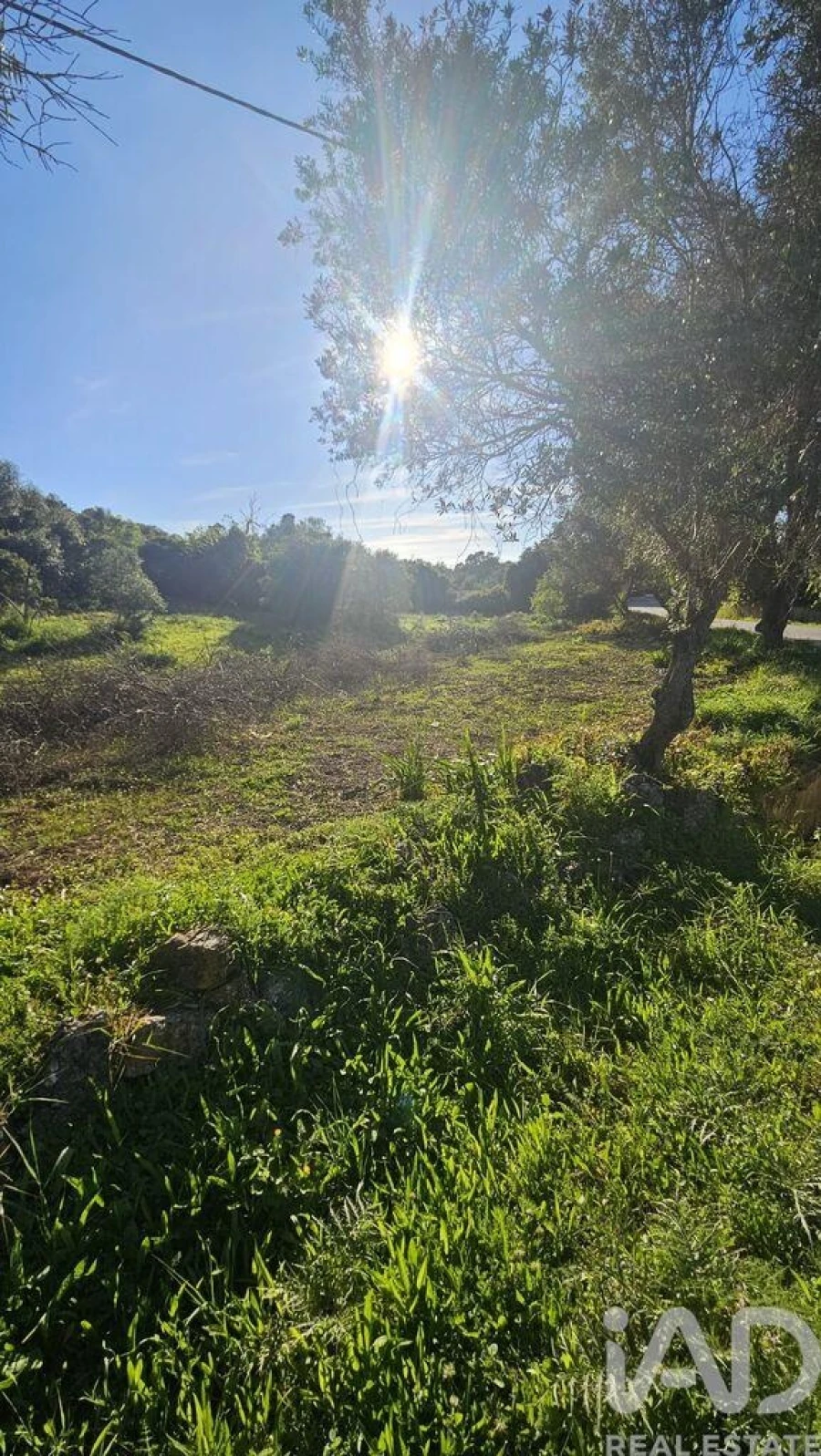 Terreno para Venda em Loule (São Clemente) Foto 8