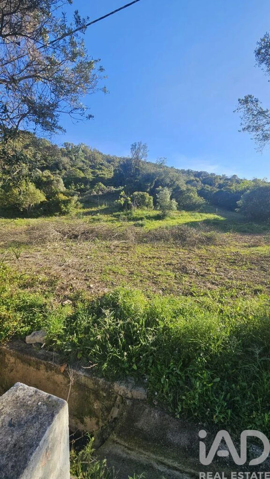 Terreno para Venda em Loule (São Clemente) Foto 5