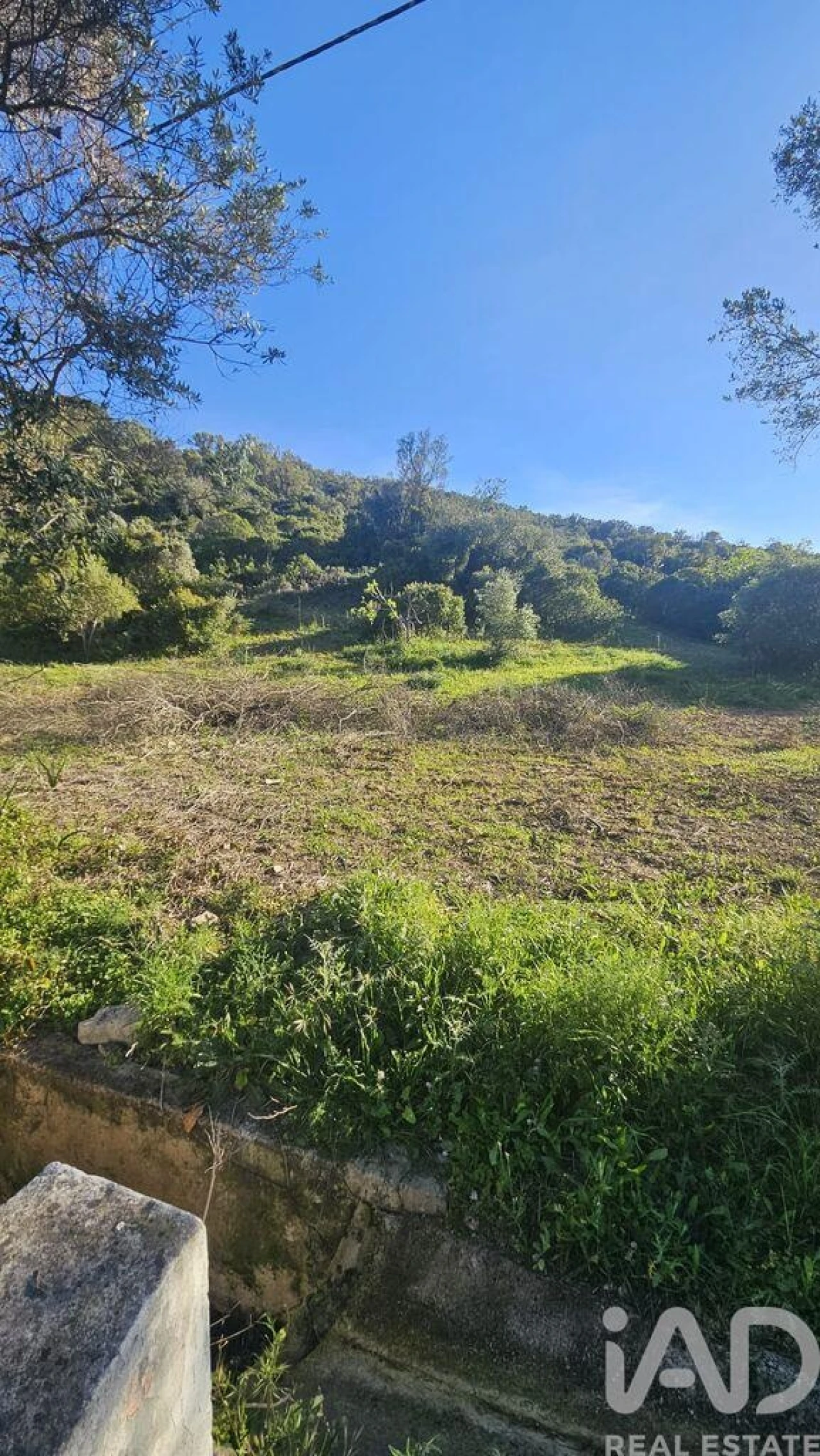 Terreno para Venda em Loule (São Clemente) Foto 5