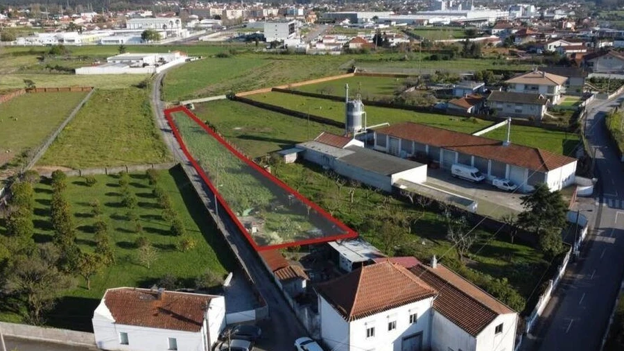 Terreno para Venda em Avanca