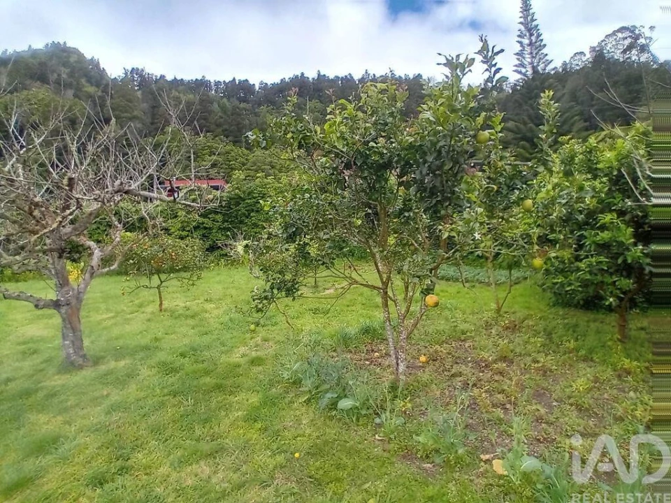 Moradia T4 para Venda em Furnas Foto 6