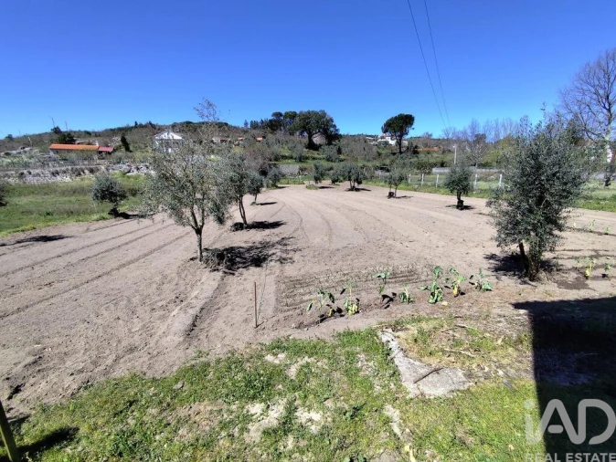 Moradia T3 para Venda em Midões Foto 8