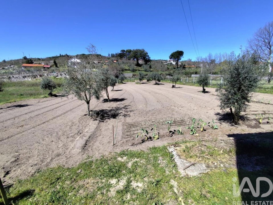 Moradia T3 para Venda em Midões Foto 8