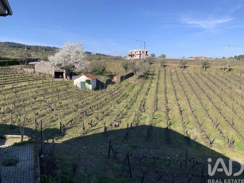 Quinta T4 para Venda em Sabrosa Foto 34