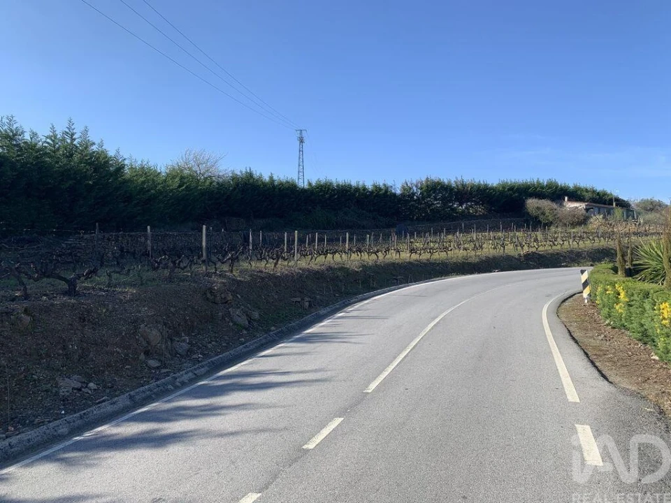 Quinta T4 para Venda em Sabrosa Foto 36