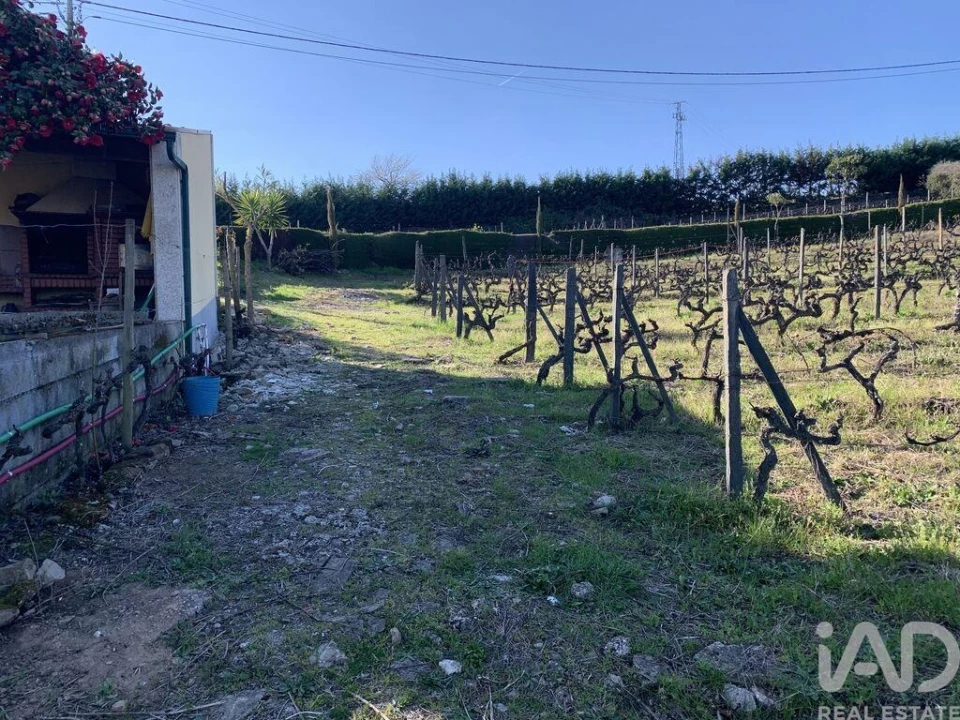 Quinta T4 para Venda em Sabrosa Foto 31