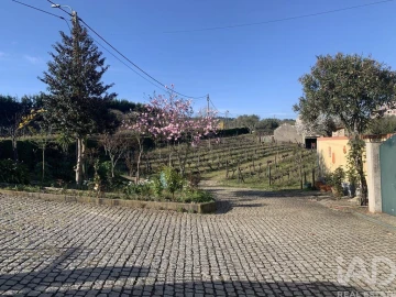 Quinta T4 para Venda em Sabrosa