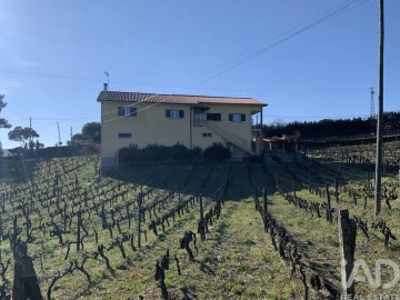 Quinta T4 para Venda em Sabrosa