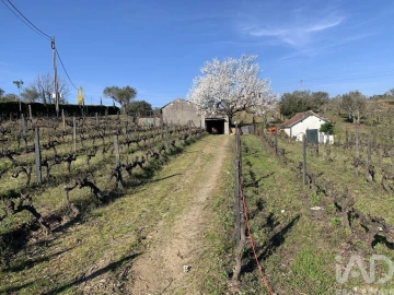 Quinta T4 para Venda em Sabrosa