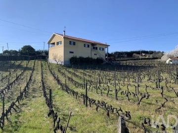 Quinta T4 para Venda em Sabrosa