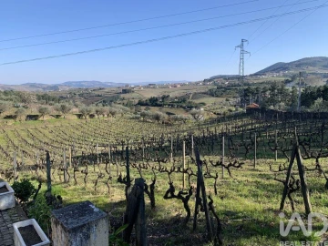 Quinta T4 para Venda em Sabrosa