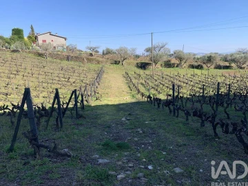 Quinta T4 para Venda em Sabrosa