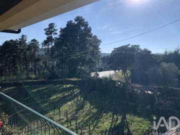 Quinta T4 para Venda em Sabrosa