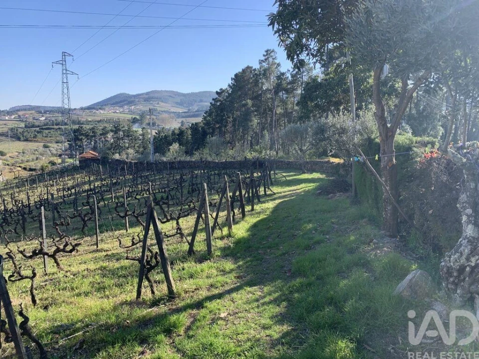 Quinta T4 para Venda em Sabrosa Foto 35
