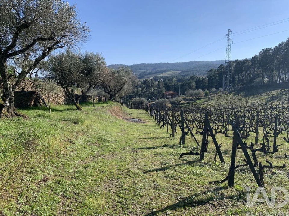 Quinta T4 para Venda em Sabrosa Foto 25