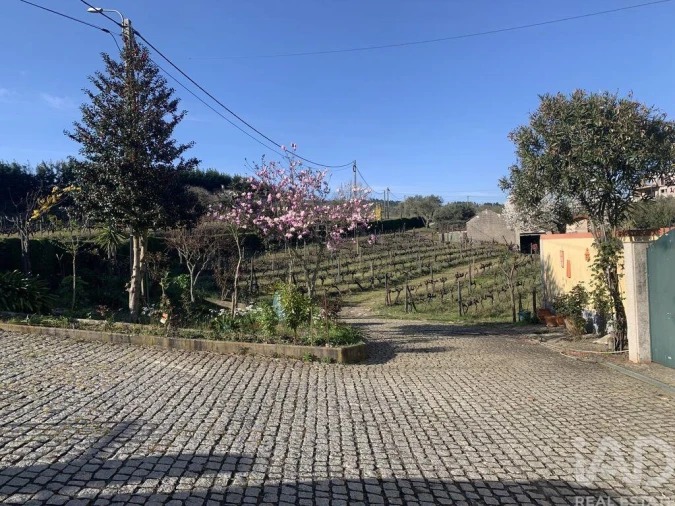 Quinta T4 para Venda em Sabrosa Foto 7