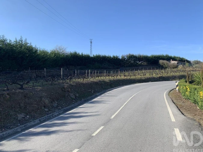 Quinta T4 para Venda em Sabrosa Foto 36