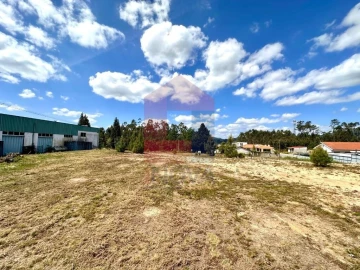 Terreno para Venda em Sabariz