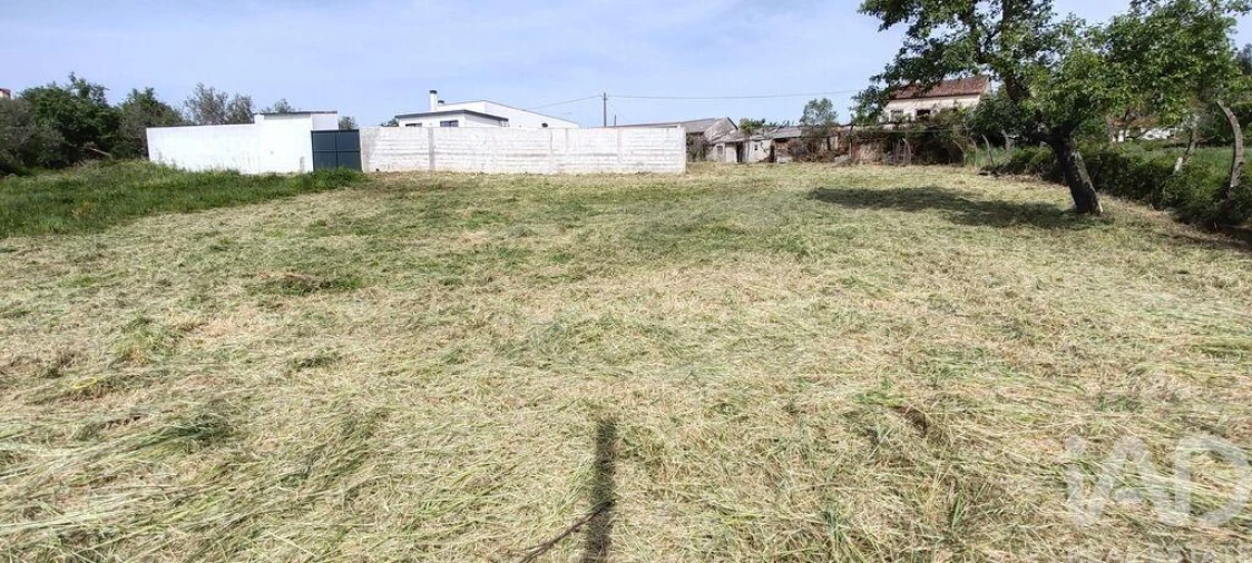 Moradia T2 para Venda em Avelar Foto 38