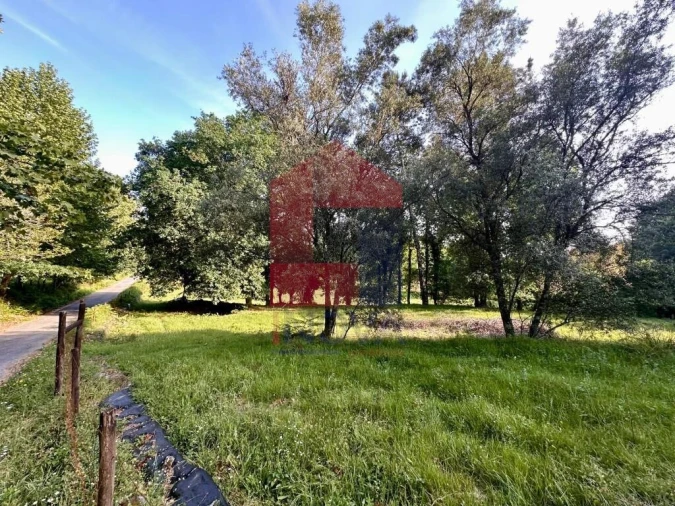 Terreno para Venda em Marrancos e Arcozelo Foto 3