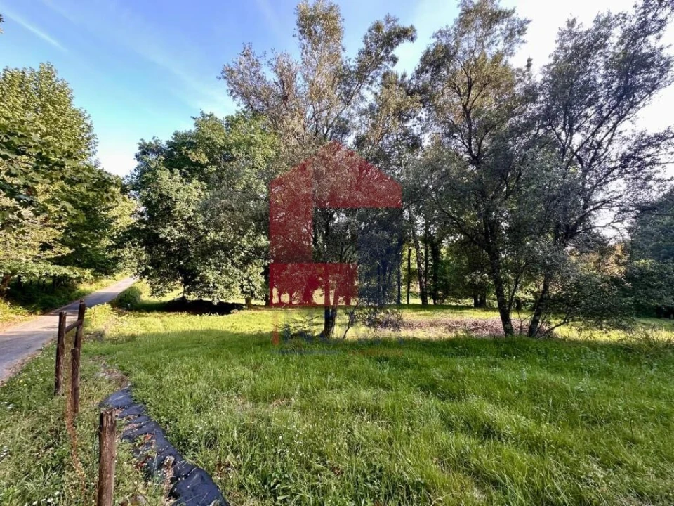 Terreno para Venda em Marrancos e Arcozelo Foto 3