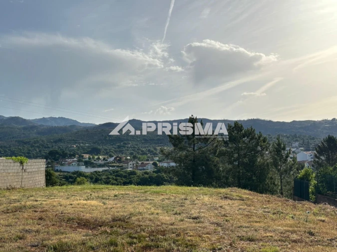 Terreno para Venda em São Vicente da Beira Foto 8