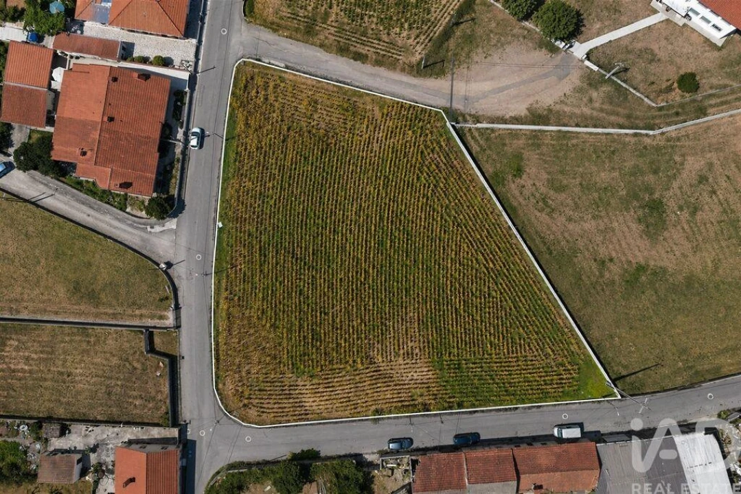 Terreno para Venda em Valega Foto 1