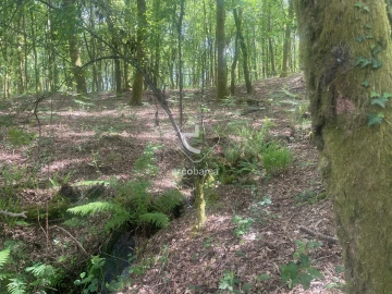 Terreno para Venda em Formariz e Ferreira