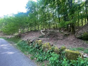 Terreno para Venda em Formariz e Ferreira