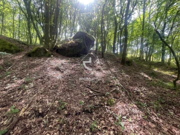 Terreno para Venda em Formariz e Ferreira