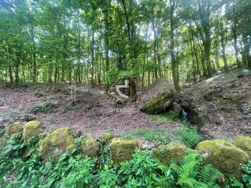 Terreno para Venda em Formariz e Ferreira
