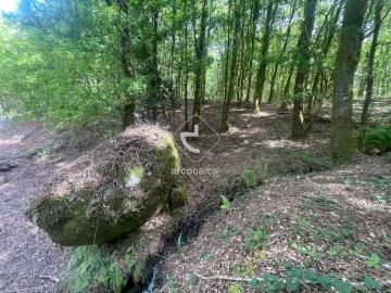Terreno para Venda em Formariz e Ferreira