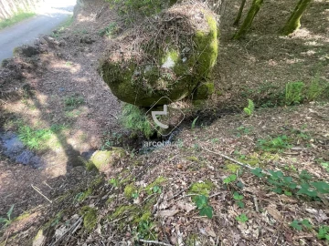 Terreno para Venda em Formariz e Ferreira