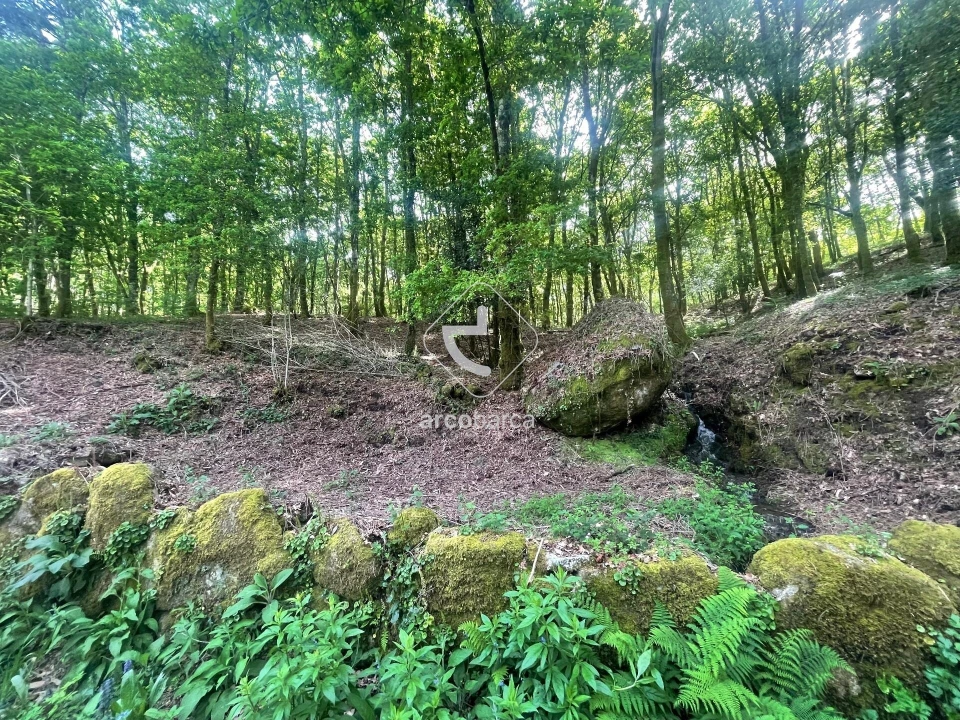 Terreno para Venda em Formariz e Ferreira Foto 3