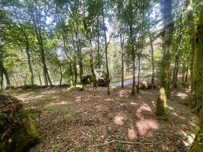 Terreno para Venda em Formariz e Ferreira Foto 2