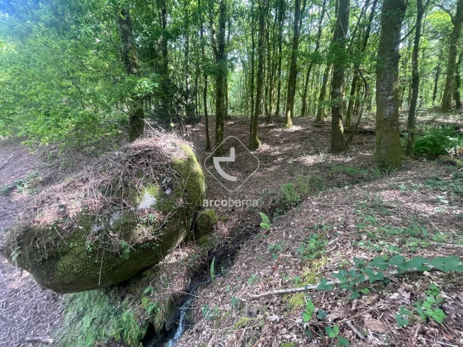 Terreno para Venda em Formariz e Ferreira Foto 5