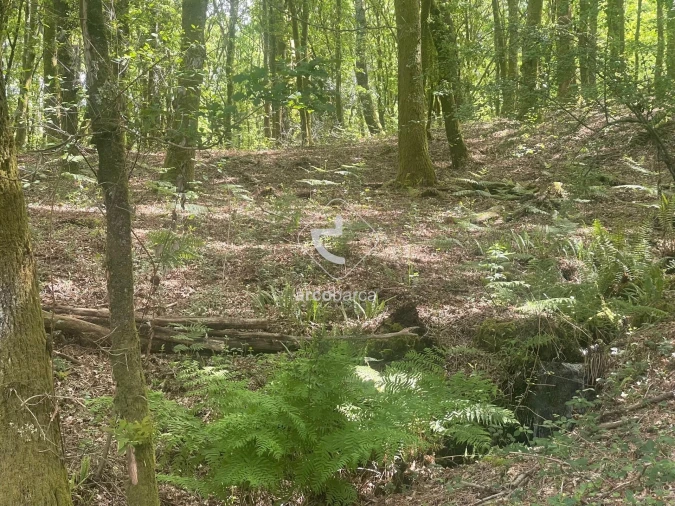 Terreno para Venda em Formariz e Ferreira Foto 8
