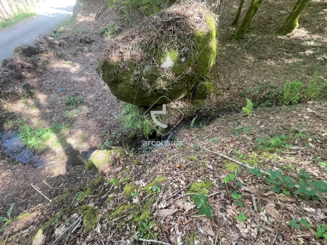 Terreno para Venda em Formariz e Ferreira Foto 6
